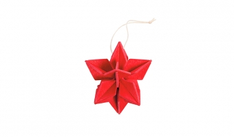 67. Star Bright Red 5cm *3D puzzelkaart * Lovi