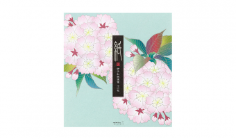 47.1 Cherry Blossom '25 Letter Pad * Midori