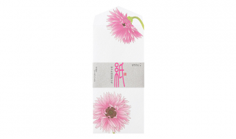 46.2 Gerbera Envelopes * Midori